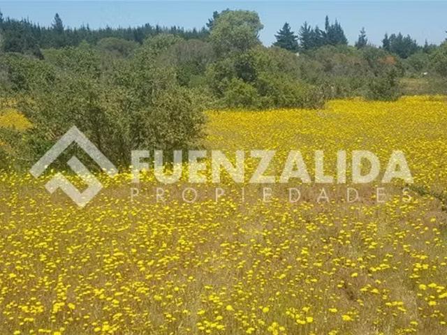 Terreno en venta en Parral, Maule