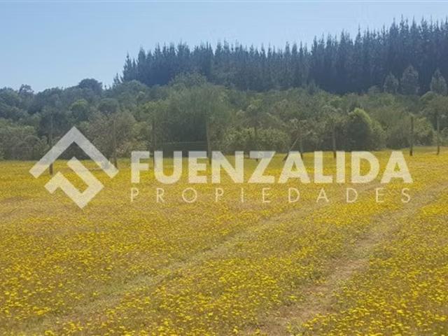 Terreno en venta en Parral, Maule