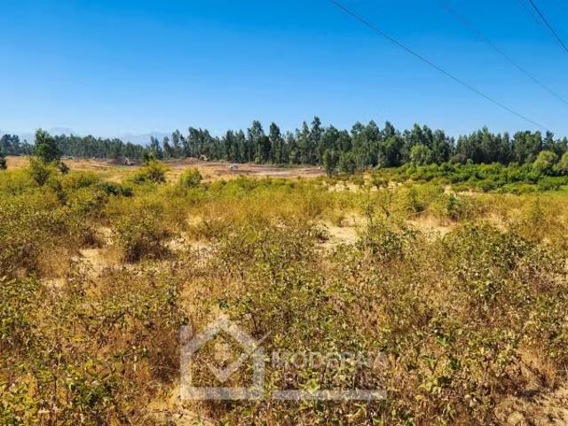 Terreno en arriendo en Pelarco, Maule