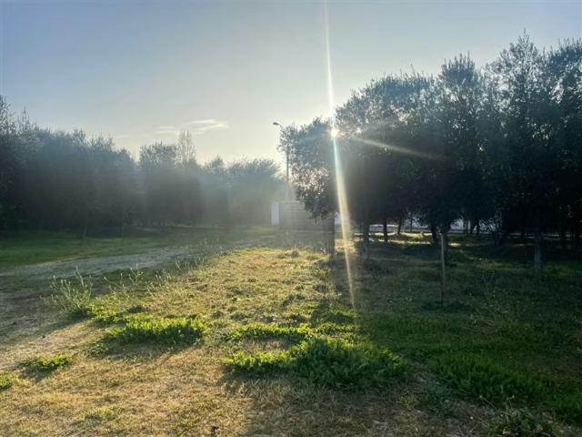 Terreno en arriendo en Pencahue, Maule