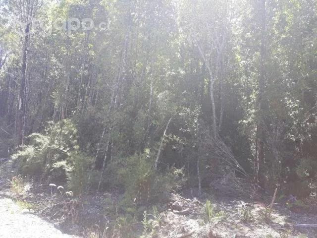 Terreno en venta en Peñaflor, Metropolitana
