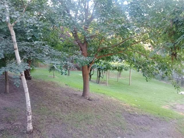 Terreno en arriendo en Pirque, Metropolitana