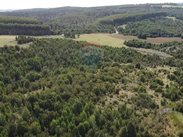 Terreno en venta en Boca Bío-bío, Los Lagos