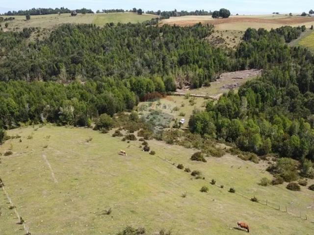 Terreno en venta en Boca Bío-bío, Los Lagos