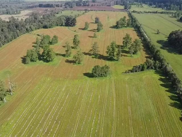 Terreno en arriendo en Purranque, Los Lagos