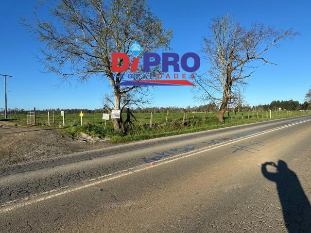 Terreno en arriendo en Purranque, Los Lagos