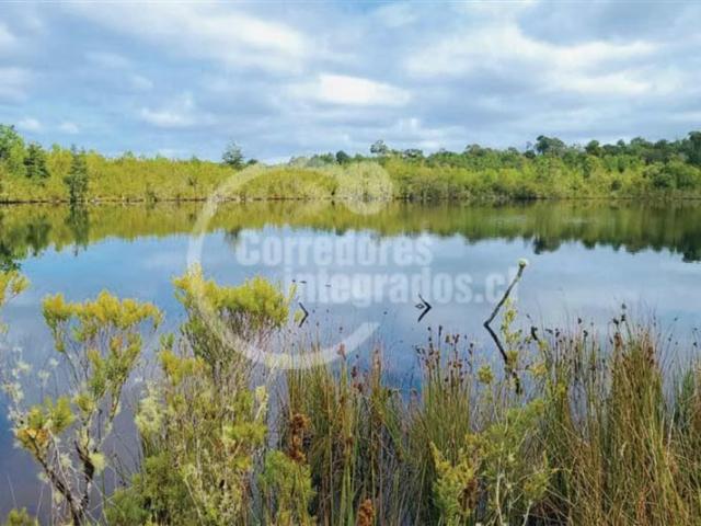 Terreno en venta en Quemchi, Los Lagos