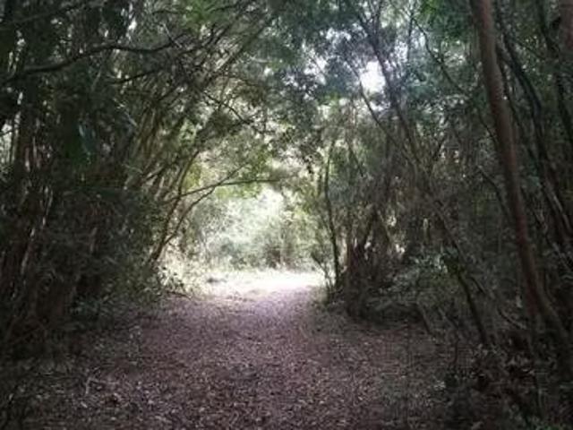 Terreno en venta en Quemchi, Los Lagos