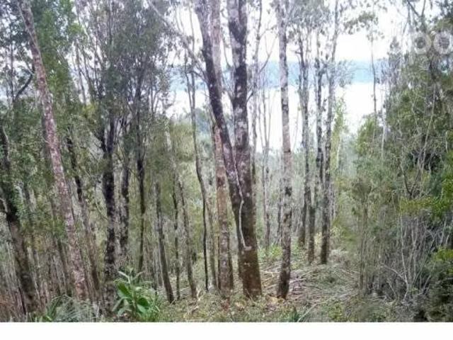 Terreno en venta en Quemchi, Los Lagos