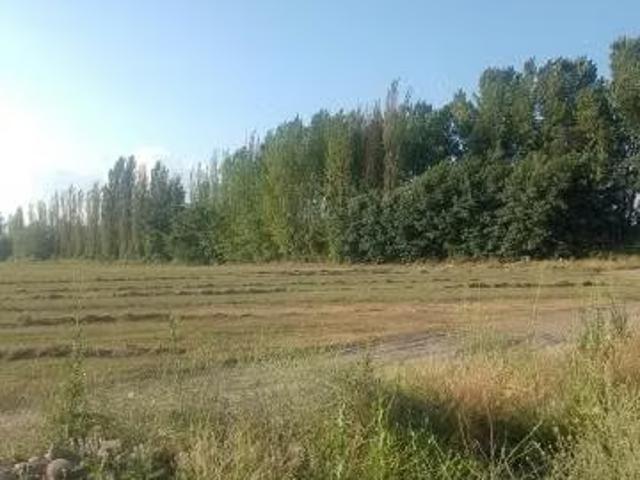 Terreno en venta en Quinta De Tilcoco, Libertador General Bernardo O'higgins
