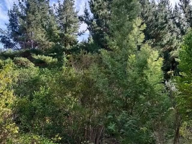 Terreno en venta en Quirihue, Provincia de Itata