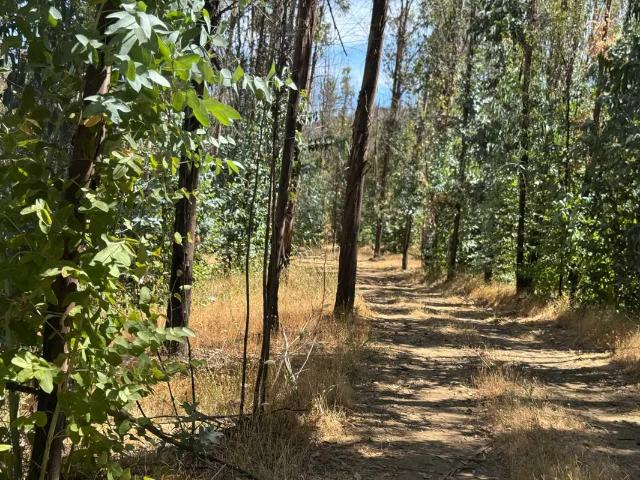 Terreno en venta en Villa El Bosque, Ránquil