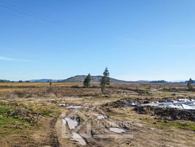 Terreno en arriendo en Retiro, Maule