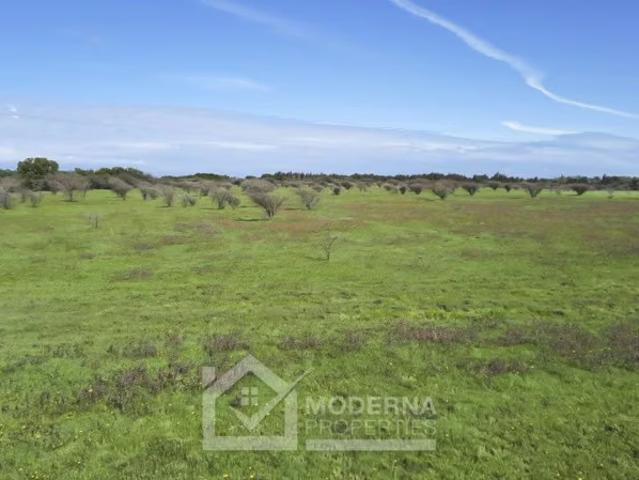 Terreno en arriendo en Retiro, Maule