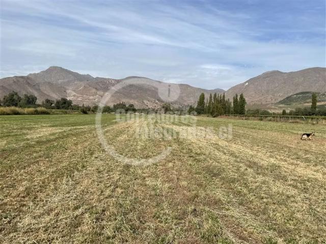 Terreno en venta en Auco, Rinconada