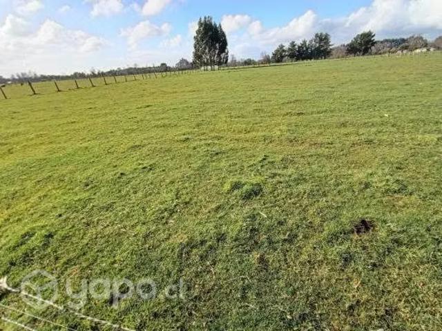Terreno en venta en Río Bueno, Los Ríos