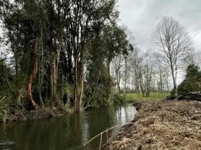 Terreno en venta en Río Bueno, Los Ríos