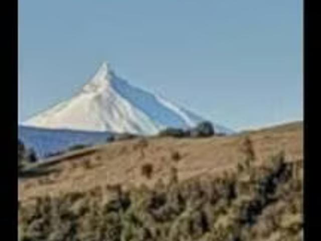 Terreno en venta en Río Bueno, Los Ríos