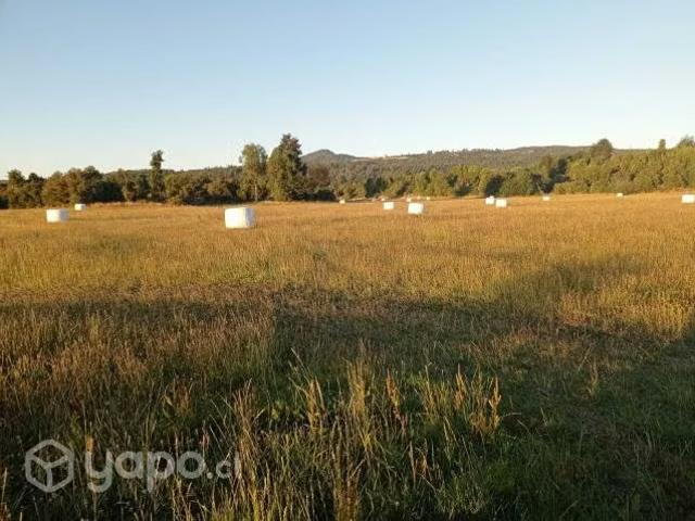 Terreno en venta en Río Bueno, Los Ríos