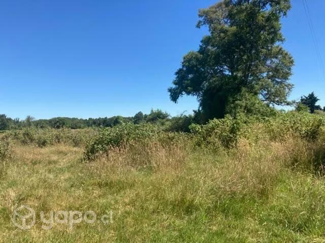 Terreno en venta en Río Bueno, Los Ríos