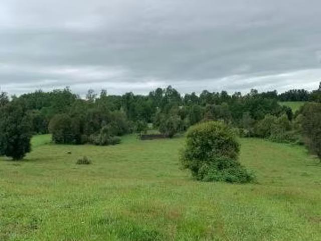 Terreno en venta en Río Bueno, Los Ríos
