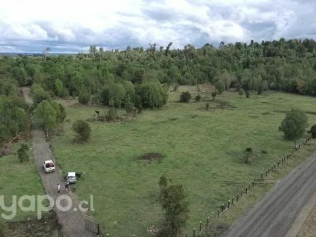 Terreno en venta en Río Bueno, Los Ríos
