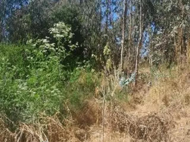 Terreno en venta en San Antonio, Valparaíso