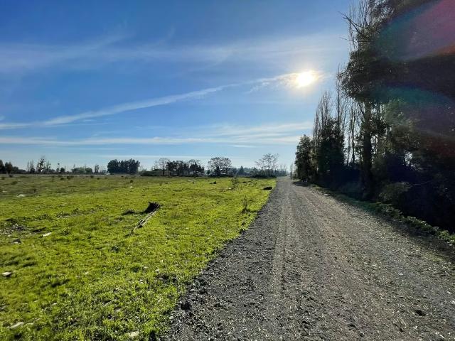 Terreno en venta en San Clemente, Maule