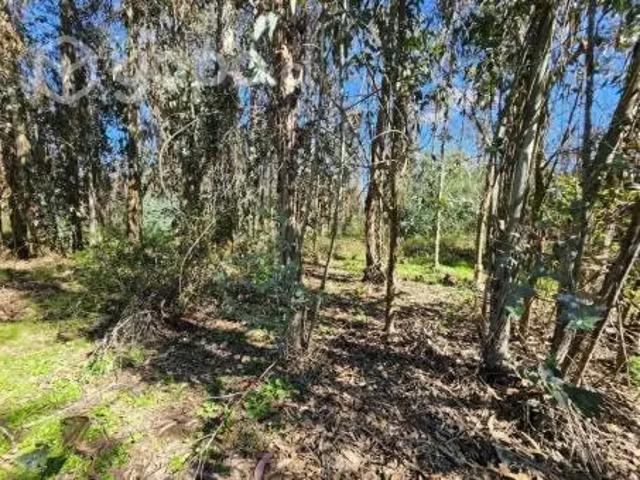 Terreno en venta en San Clemente, Maule