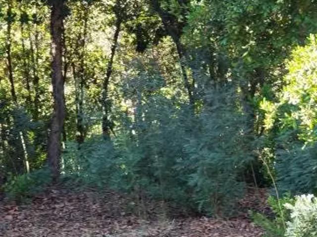 Terreno en venta en San Clemente, Maule