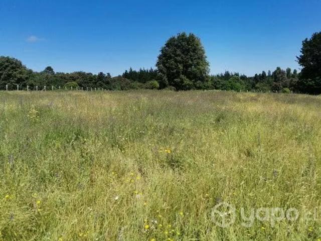 Terreno en venta en San Miguel, San Ignacio