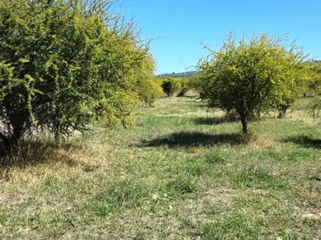 Terreno en venta en San Javier, Maule