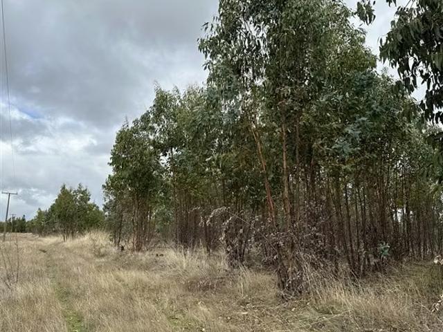Terreno en venta en Ñuble