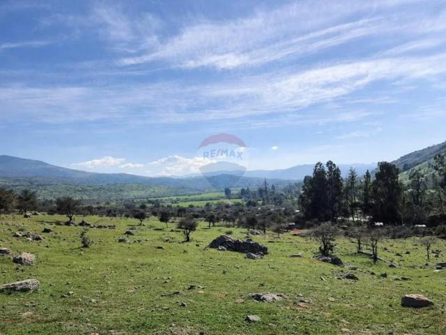 Terreno en venta en Santa Cruz, Libertador General Bernardo O'higgins