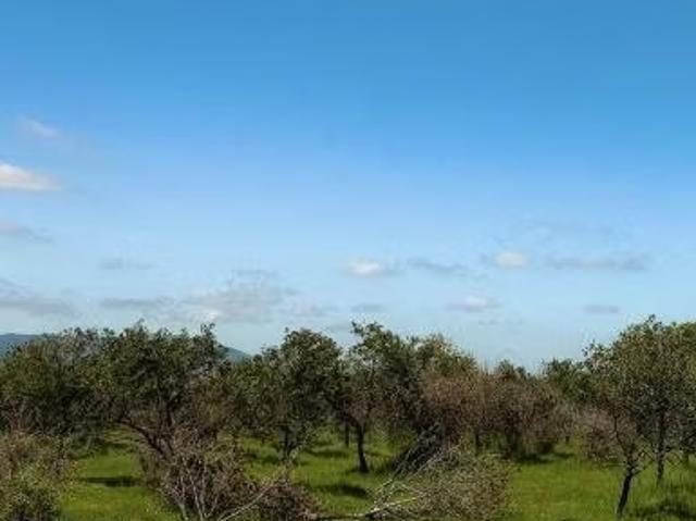 Terreno en venta en Santa Cruz, Libertador General Bernardo O'higgins