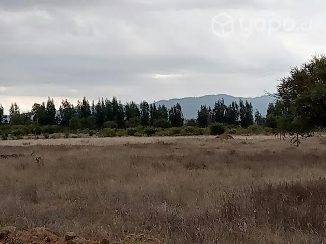 Terreno en venta en Santa Cruz, Libertador General Bernardo O'higgins