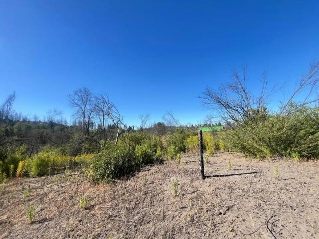 Terreno en venta en Santa Juana, Biobío
