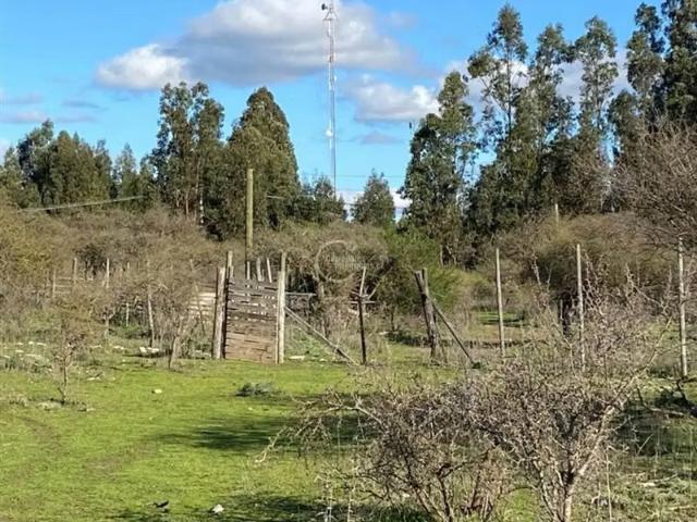 Terreno en venta en Campo Alegre, Santo Domingo
