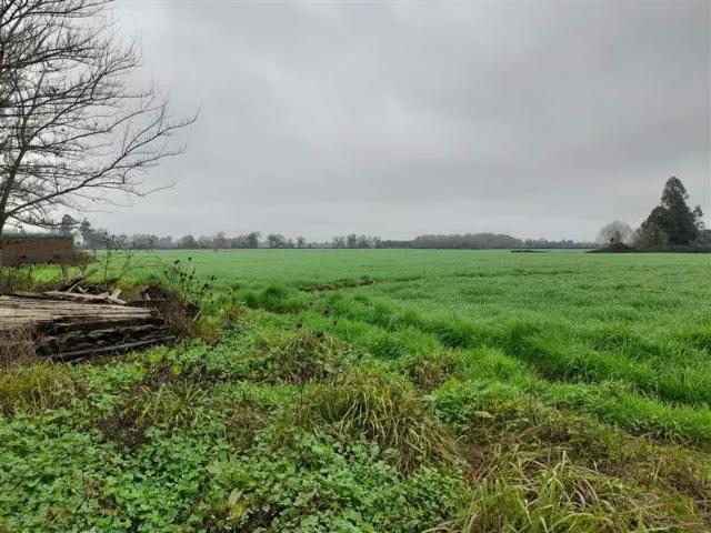 Terreno en arriendo en Talca, Maule