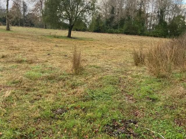Terreno en venta en Teodoro Schmidt, La Araucanía