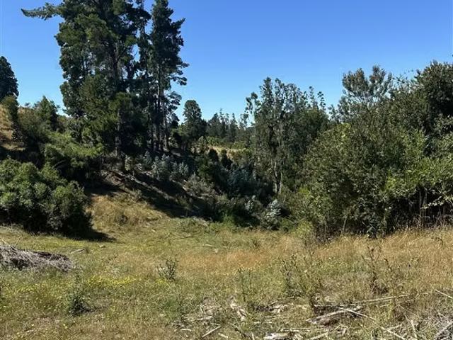 Terreno en venta en Teodoro Schmidt, La Araucanía