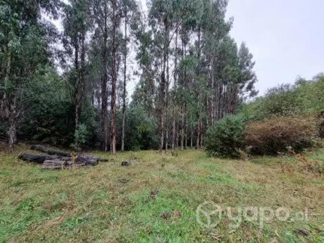 Terreno en venta en Toltén, La Araucanía