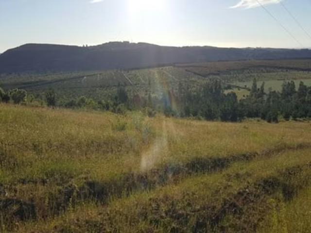 Terreno en venta en Tucapel, Biobío