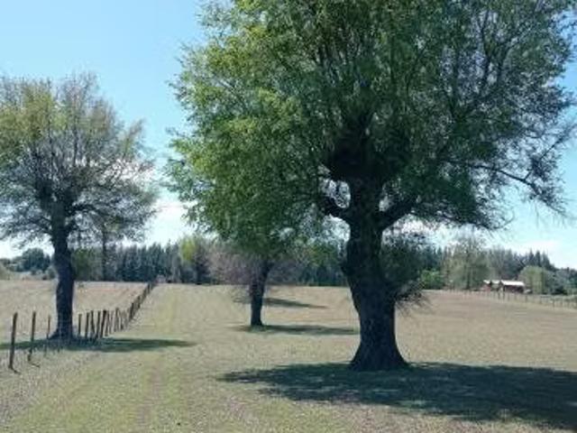 Terreno en venta en Tucapel, Biobío
