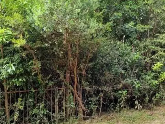 Terreno en venta en Valdivia, Los Ríos