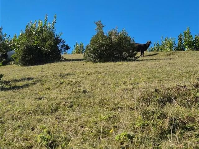 Terreno en venta en Valdivia, Los Ríos