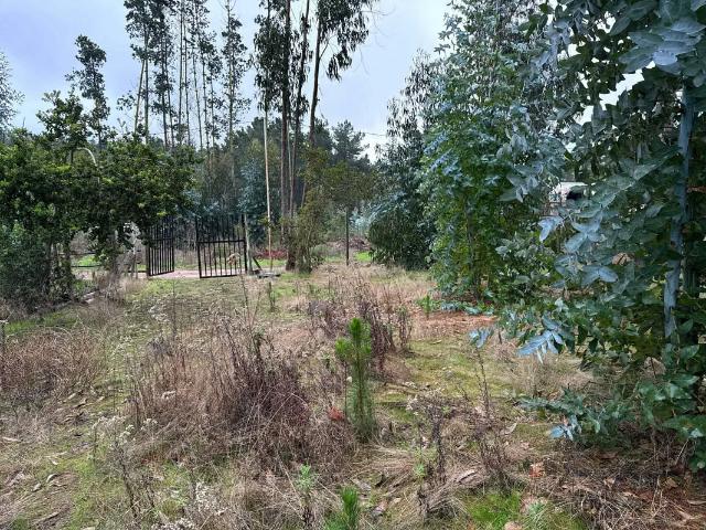 Terreno en venta en Valparaíso, Capital, Valparaíso