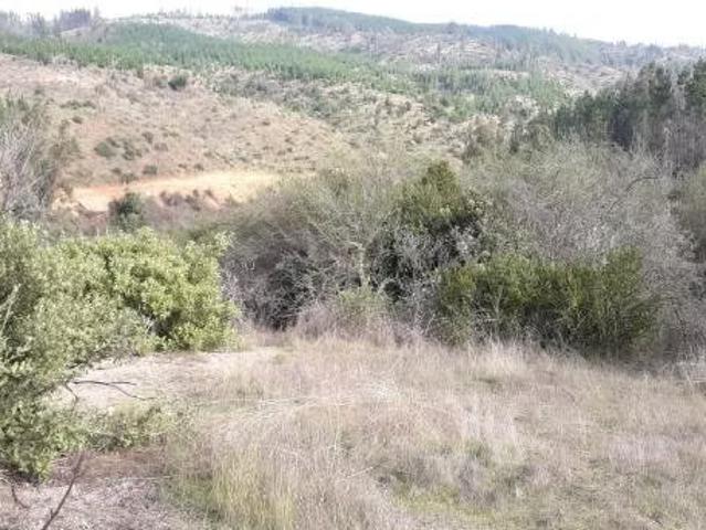 Terreno en venta en Vichuquén, Maule