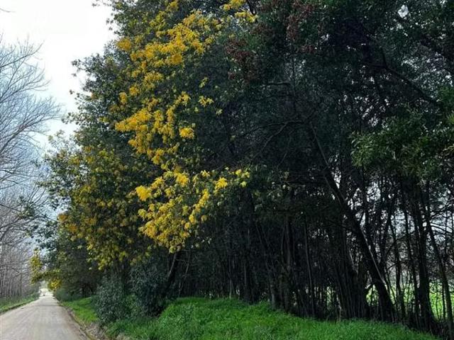 Terreno en venta en Vichuquén, Maule