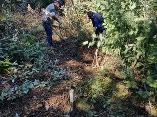 Terreno en venta en Vichuquén, Maule